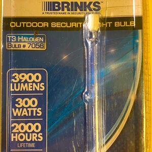 Brinks Outdoor Security Bulb